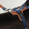 Nylon Outdoor Dog Tactical Harness