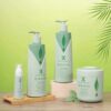 H1a8e80529e8b4f5cb207129f15a8f74cA.jpg_720x720q50.jpg Biotin Rosemary Shampoo Set