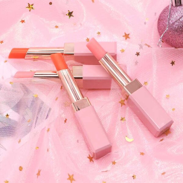 H58f09099944b40c09f02af1a0d589e53S.jpg_720x720q50.jpg HOJO Waterproof Lipstick Set