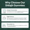 Pure Himalayan Shilajit