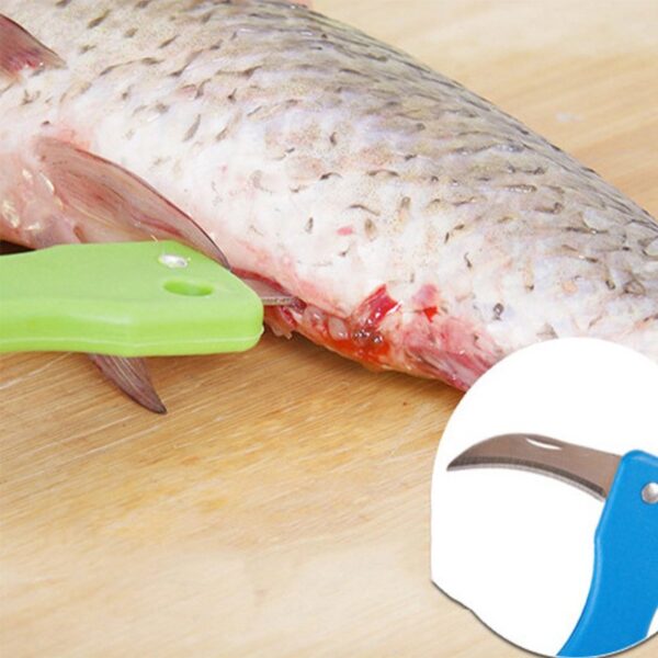 O1CN01s63wFm1FN8OWs0WbJ_2210408030474-0-cib.jpg Efficient Mess-Free Fish Scale Scraper